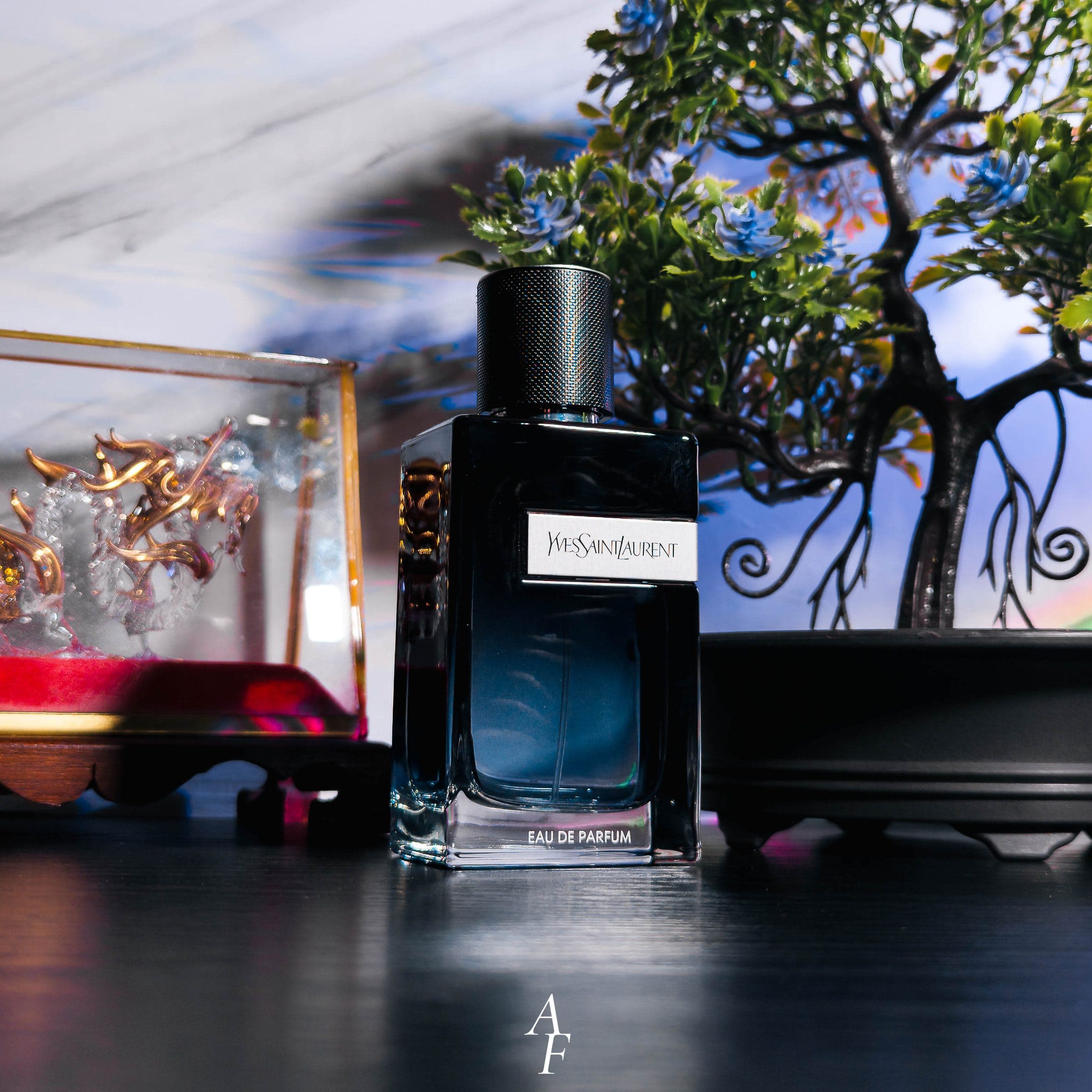 Yves Saint Laurent (YSL Y EDP) — image 1