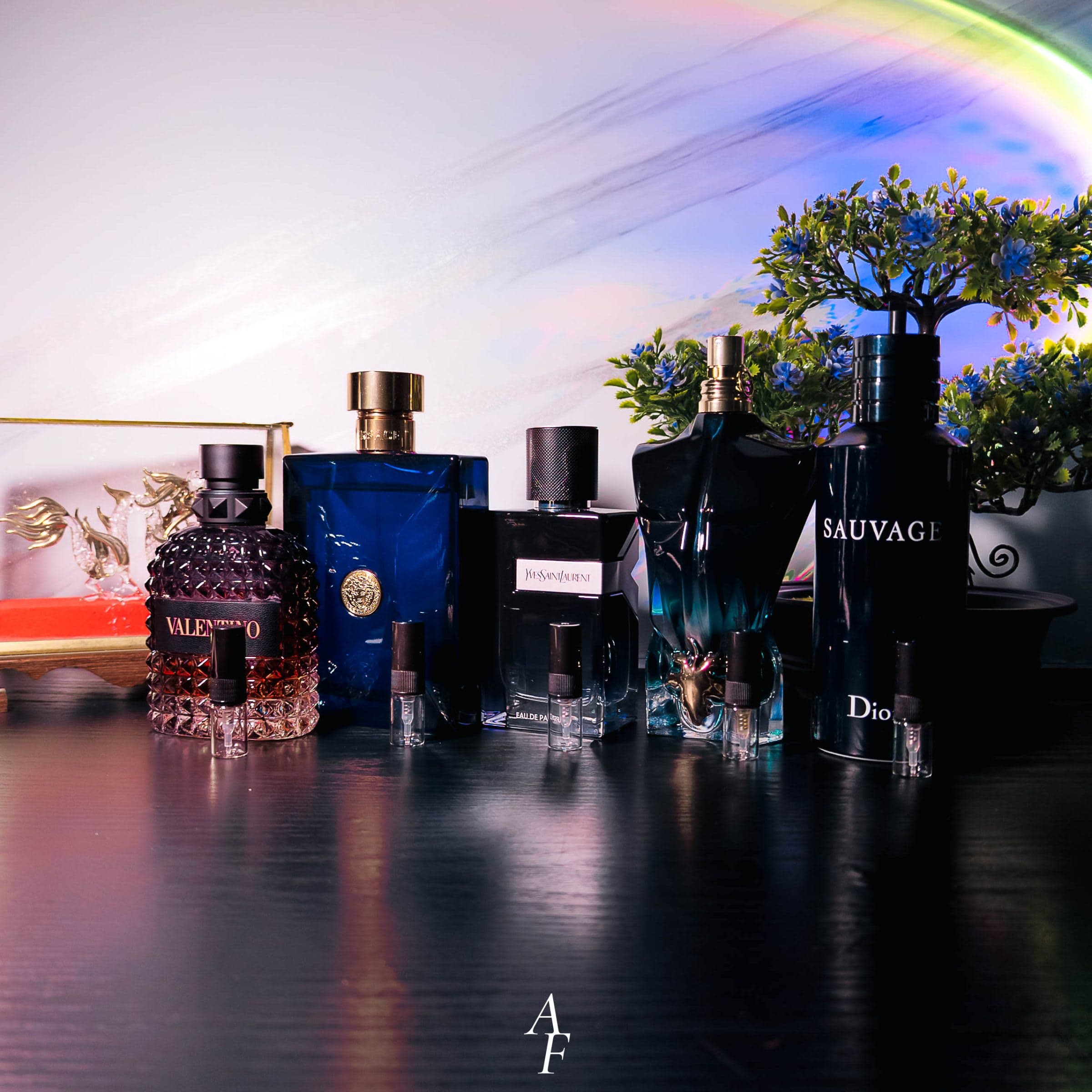 Designer discovery pack — image 1
